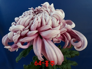 20181024_103038.jpg