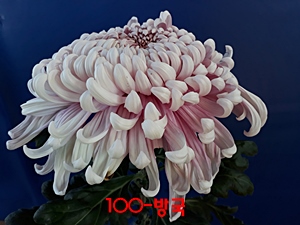 20181024_103623.jpg