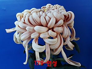 20181024_130612.jpg