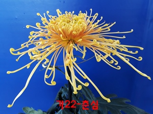 20181024_141036.jpg