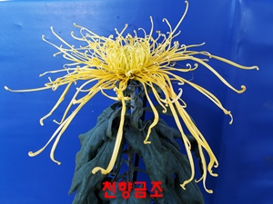 20181024_141307.jpg