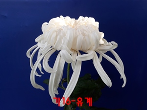 20181027_092905.jpg