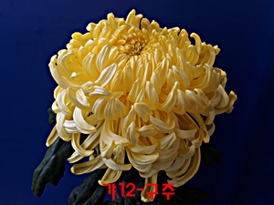 20181027_093914.jpg