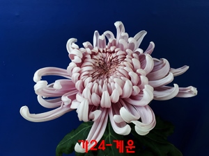 20181027_100614.jpg