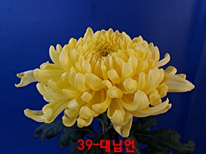20181028_095714.jpg
