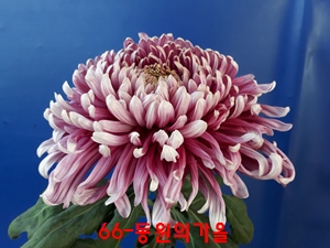 20181028_101316.jpg