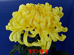 20181030_134820.jpg