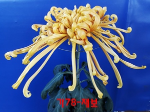 20181030_135008.jpg
