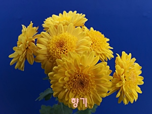 20181029_151846.jpg