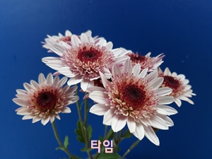 20181029_151457.jpg