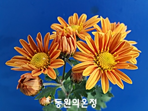20181029_153150.jpg