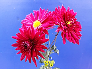 20181107_121452.jpg