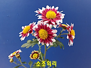 20181107_122101.jpg