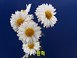 20181107_122318.jpg
