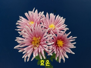 20181107_121722.jpg