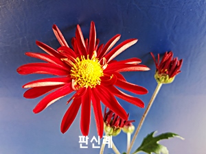 20181114_092712.jpg