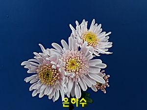 20181107_122650.jpg