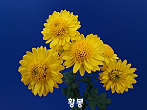 20181107_120911.jpg