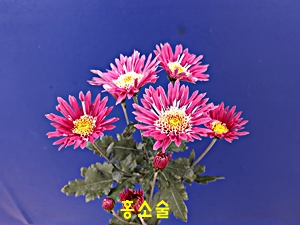 20181107_123009.jpg