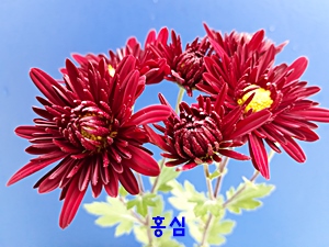 20181029_151951.jpg