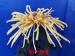 20181030_135609.jpg