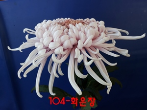 20181102_113218.jpg