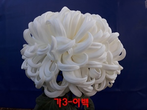 20181122_162351.jpg