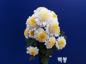 20181107_123205.jpg