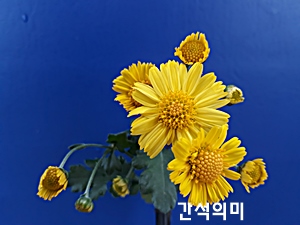 20181107_123323.jpg