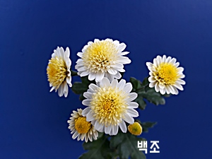 20181107_123630.jpg