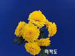 20181107_123941.jpg