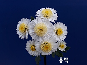20181107_124414.jpg