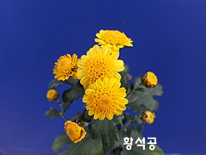 20181107_124148.jpg