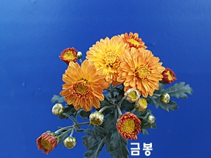 20181107_124234.jpg