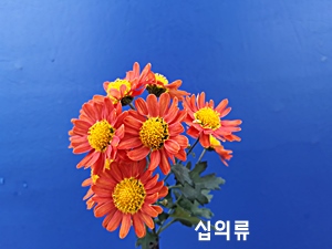 20181107_124529.jpg