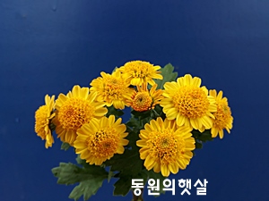 20181107_124809.jpg