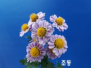 20181107_124913.jpg