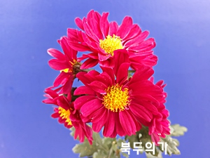 20181107_125532.jpg