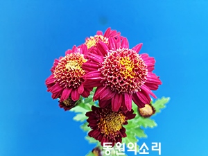 20181107_140126.jpg