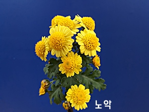 20181107_121146.jpg