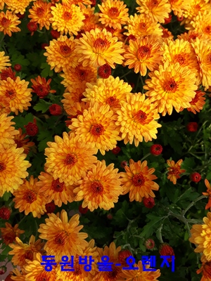 20181022_111111.jpg