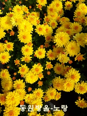 20181022_111235.jpg