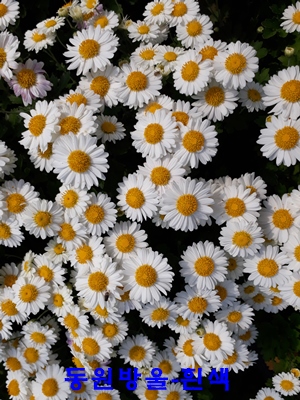 20181022_111253.jpg