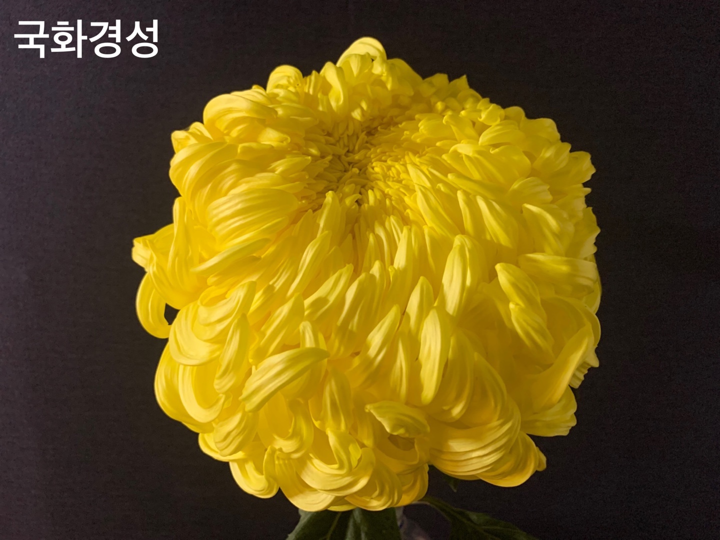 6d222c03b57bbac5777e5455226bcaa8_KakaoTalk_20210627_112417848_07.jpg