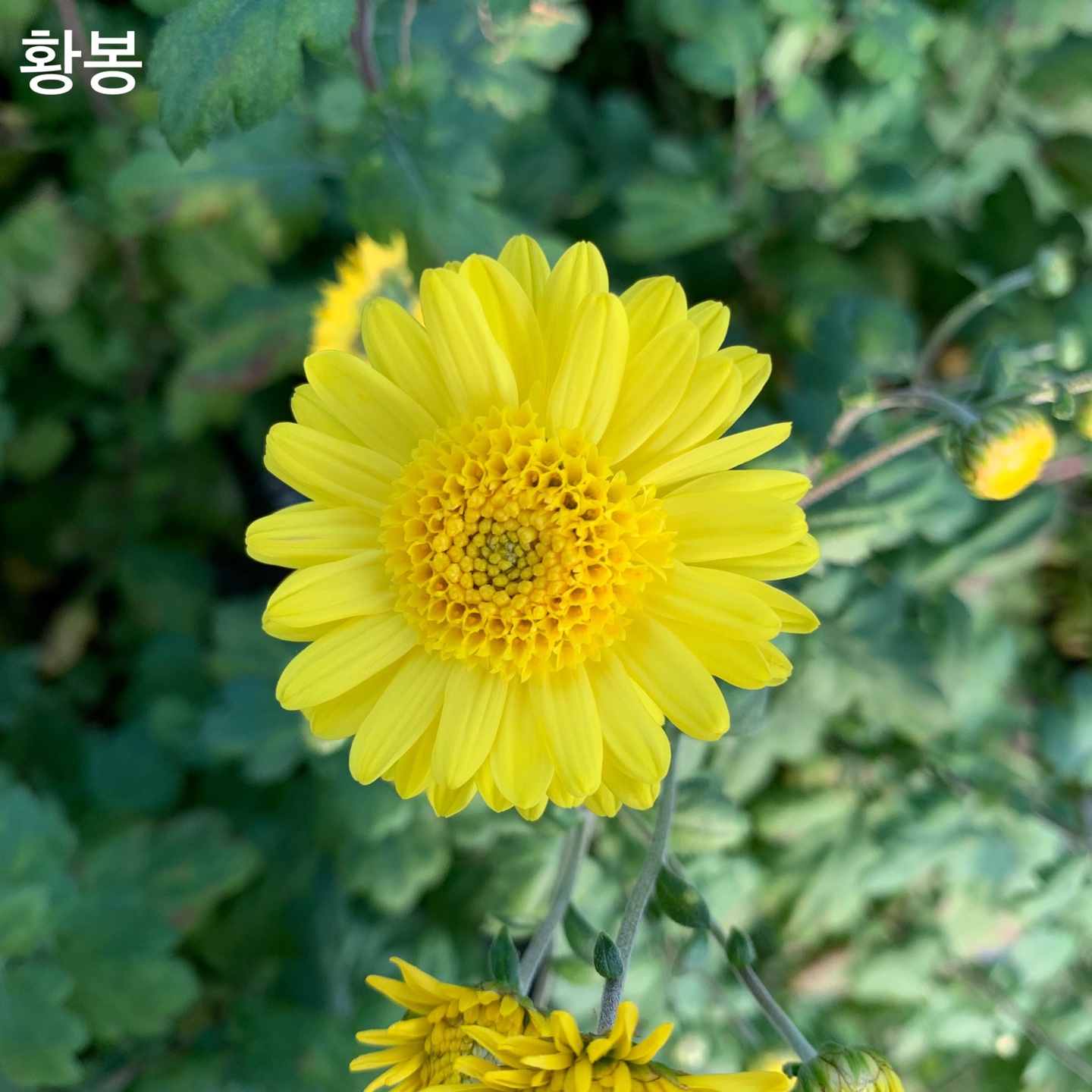 6d222c03b57bbac5777e5455226bcaa8_KakaoTalk_20220104_130631384_06.jpg