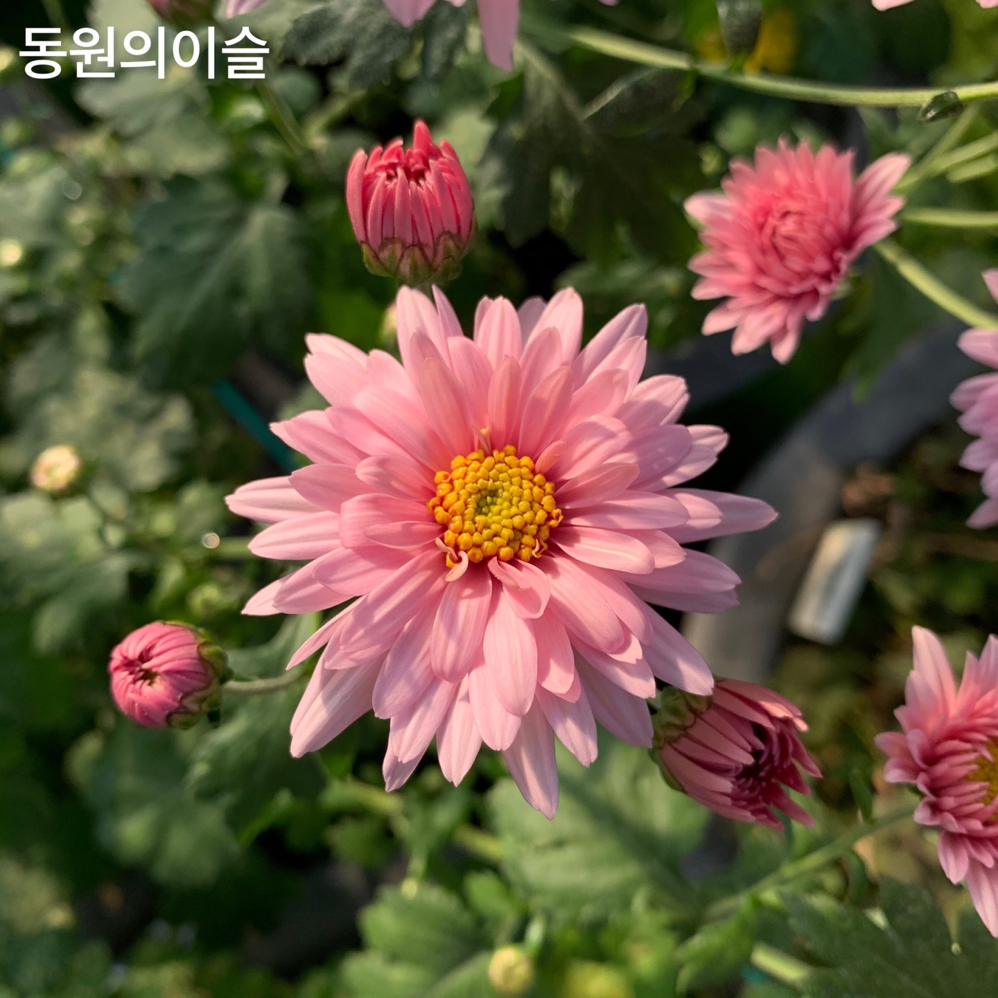 6d222c03b57bbac5777e5455226bcaa8_KakaoTalk_20220104_130631384_07.jpg