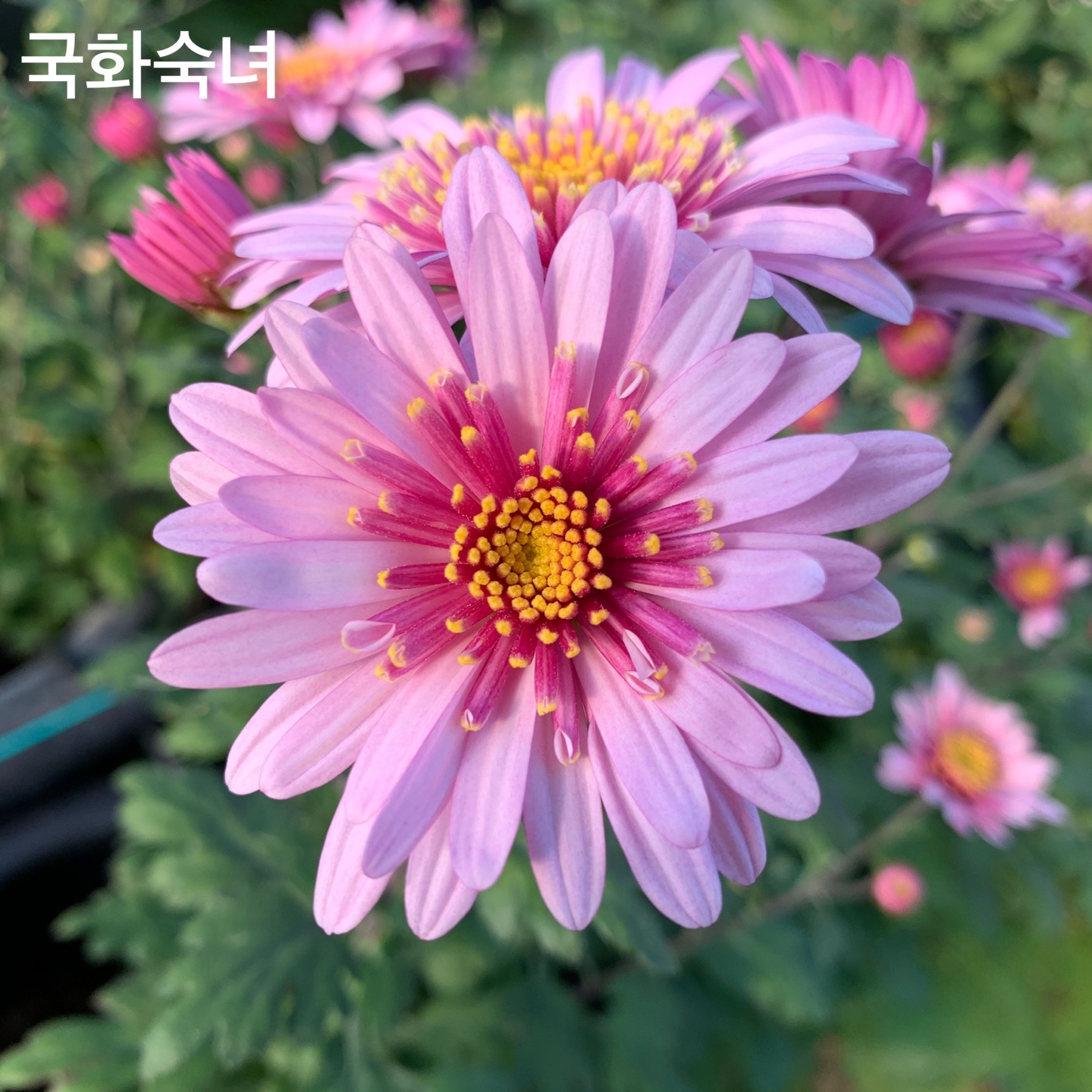 6d222c03b57bbac5777e5455226bcaa8_KakaoTalk_20220104_130631384_13.jpg