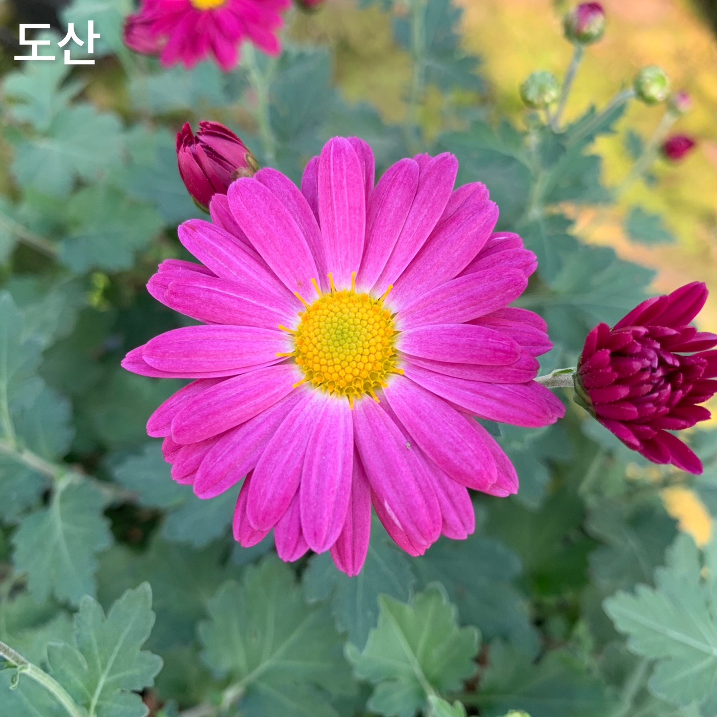 6d222c03b57bbac5777e5455226bcaa8_KakaoTalk_20220104_130631384_18.jpg