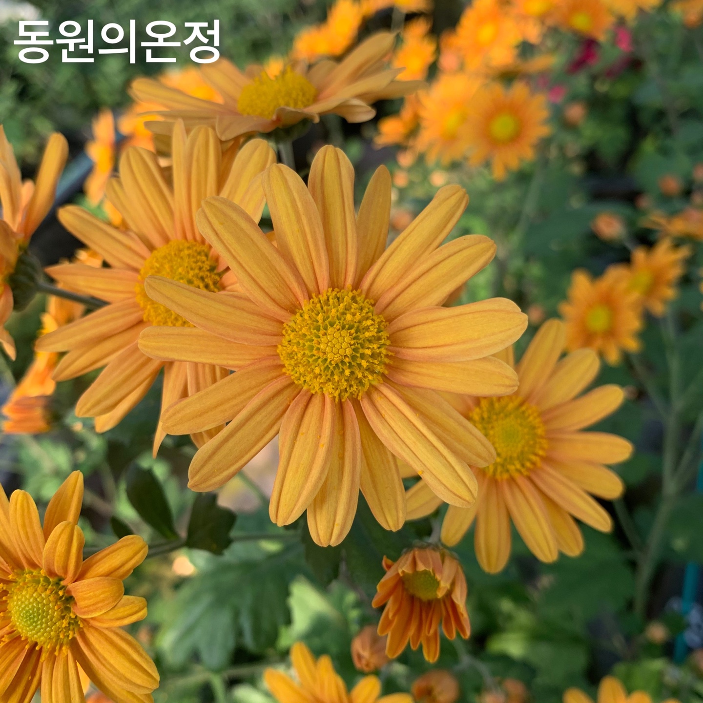6d222c03b57bbac5777e5455226bcaa8_KakaoTalk_20220104_130631384_22.jpg