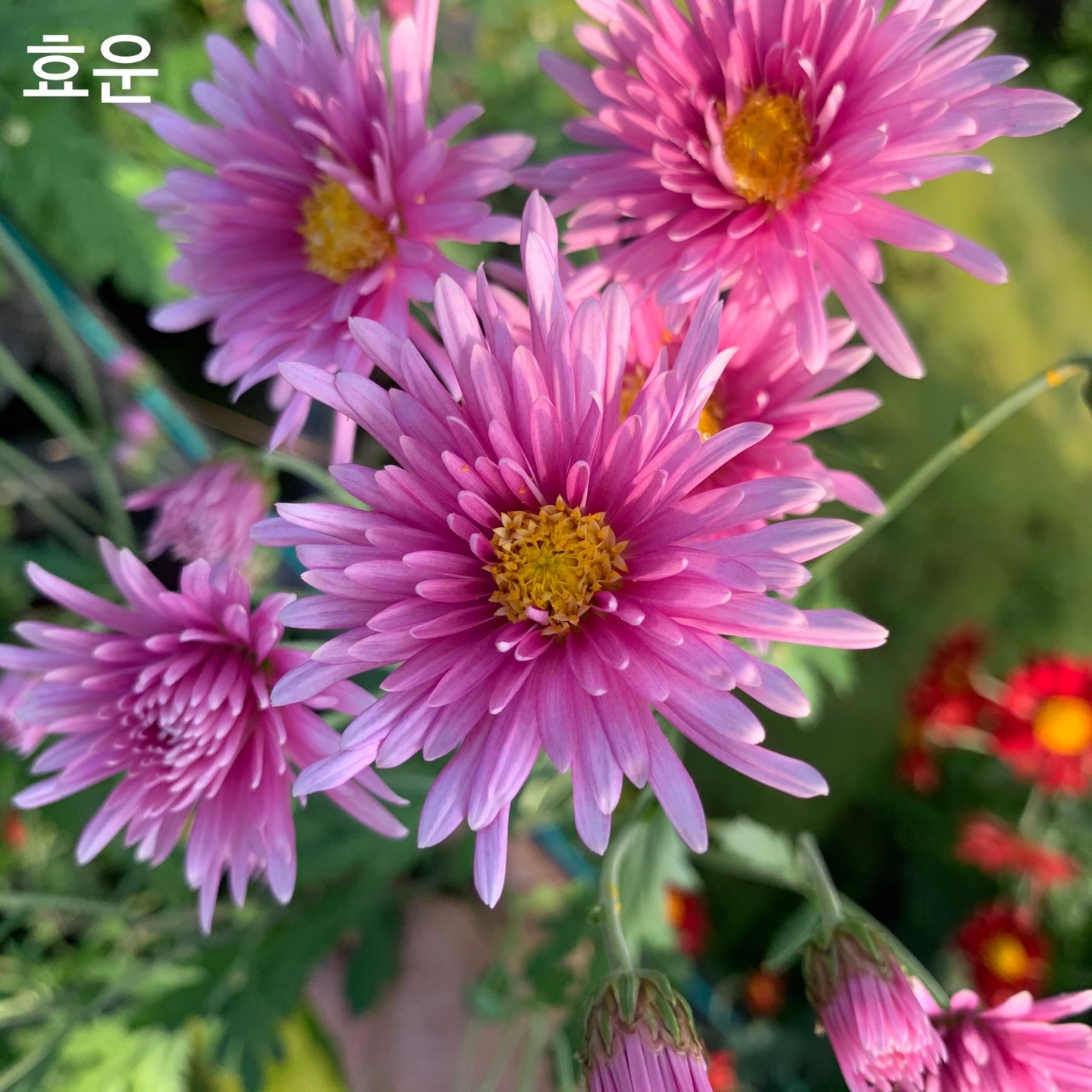 6d222c03b57bbac5777e5455226bcaa8_KakaoTalk_20220104_130712005_01.jpg